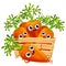 Funny cartoon carrots set in a wooden box.