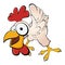 Funny cartoon chicken