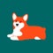 Funny cartoon corgi dog. Pembroke welsh corgi, lying sitting smiling abstract cute puppy. Vector isolated illustration