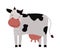 Funny cartoon cow farm mammal animal vector.