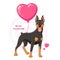 Funny cartoon doberman pinscher with heart shaped balloon