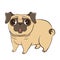 Funny cartoon dog breed purebred little pug in flat style