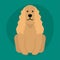 Funny cartoon dog character bread illustration in cartoon style puppy and cocker spaniel isolated friendly mammal