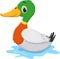Funny Cartoon duck swimming