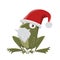 Funny cartoon frog with santa clause hat