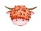 Funny cartoon highland bull or cow watercolor illustration. Hand drawn cute chinese zodiac symbol of 2021new year.