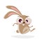 Funny cartoon illustration of a crazy rabbit hopping