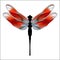 Funny cartoon illustration of dragonfly. Bright Dragonfly flutters.