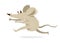Funny cartoon mouse runs fast in a rush vector illustration, hurry late concept.