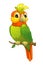 Funny cartoon parrot