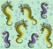 Funny cartoon seahorses on a blue background. Background and pattern