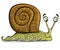 Funny cartoon snail, vector.