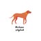 Funny cartoon style icon of rhodesian ridgeback with text for different design. Cute hunting dog