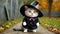 Funny cat in black cape and hat posing. Feline dressed in a Halloween costume. Concept of holiday celebration, pet