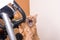 Funny cat gnawing on wire of exercise bike