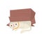 Funny cat hiding under cardboard box. Kitten with cunning muzzle expression. Domestic animal. Flat vector element for