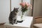 Funny cat and jug with flowers in light room. Cute cat, vase with roses, armchair in a cozy room. Interior decoration