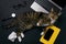 Funny cat lying on the office desk and playing with crumpled paper balls.