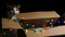 Funny cat nibbles a cardboard box with a colored garland