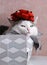 Funny cat photo sleeping in gift box with red bow on head