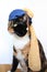 Funny cat in a scarf with decoration, copy to the original painting by artist Vermeer Girl with a pearl earring, concept of parody
