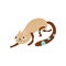 Funny Cat Sneaking, Cute Animal Pet Character Vector Illustration