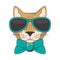 Funny cat with sunglasses cool style