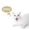 Funny cat with thought bubble and abbreviation OMG