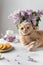 Funny cat waiting for a tea party. Cute cat, tea pot and waffles on a light background. Spring tea drinking. Greeting card,