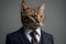 A funny cat wearing a suit with isolated background