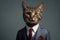 A funny cat wearing a suit with isolated background