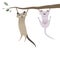 Funny cats hanging from tree branch