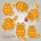 Funny Cats Icons Vector Set