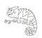 Funny chameleon lizard character for kid coloring book. Reptile with curved tail sitting on branch of jungle tree