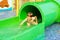 Funny child playing in water park splashing water. Summer holidays concept. Boy has into pool after going down water slide during