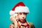 Funny child Santa holding a big sea shell. Christmas concept