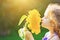 Funny child smelling sunflower sunny day outdoor.