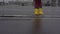 Funny child in yellow waterproof rubber boots enjoys jumping