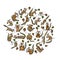 Funny Chimpank family with nuts. Ground Squirrel. Background for your design