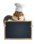 Funny chipmunk chef cook hold empty menu blackboard