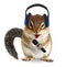 Funny chipmunk dj with headphone and microphone on white