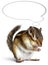 Funny chipmunk dreaming with thought bubble