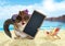 Funny chipmunk on summer vacation holidays hold empty blank banner, sitting on beach