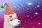 Funny christmas animal alpaca wearing a striped elf hat isolated on a colored background with stars