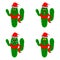 Funny christmas cacti