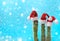 Funny Christmas decoration cactus red Santa hat Falling snow