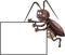 Funny Cockroach Holding Banner Color  Illustration