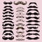 Funny  collection  with mustache.