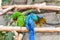Funny colored large macaws pair Parrots Ara