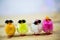 Funny colorful chicks
